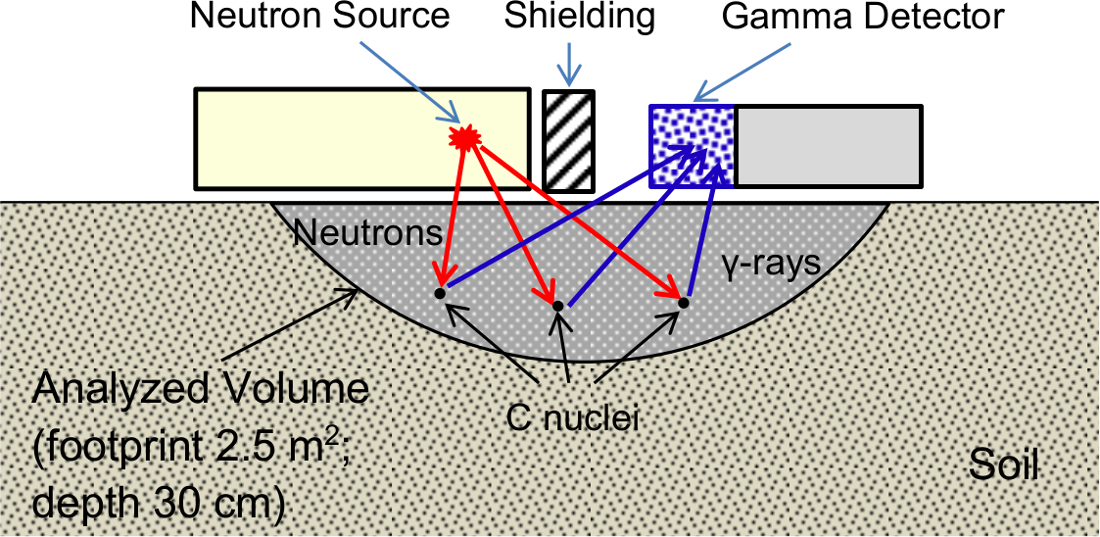 Neutron Radiography Soil Measurements of Soil Carbon by Neutron-Gamma Analysis in Static and ...