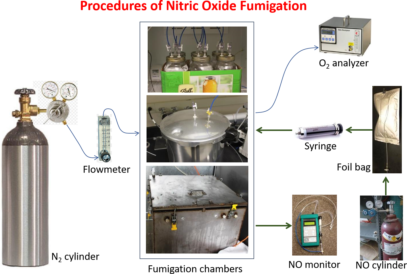 Procedures Of Laboratory Fumigation For Pest Control With Nitric Oxide Gas